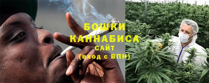 shop наркотические препараты  Горячий Ключ  Каннабис индика 